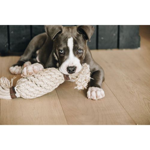 Kentucky - Dog Toy Cotton Rope Pineapple - 52406
