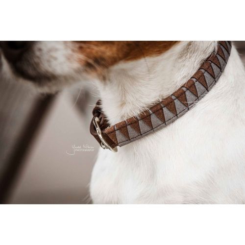 Kentucky - Dog Collar Triangle - 42523