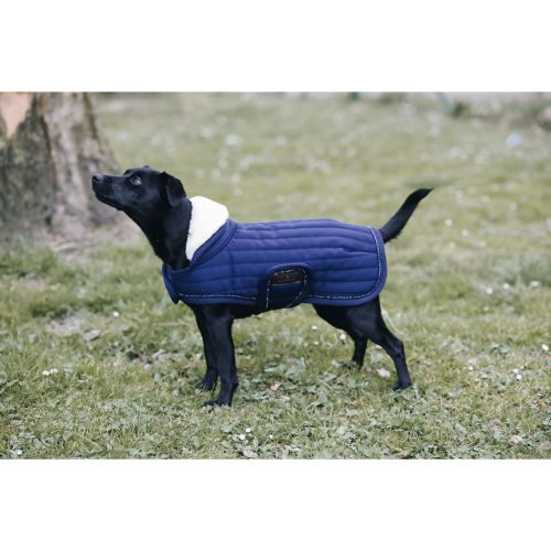 Kentucky - Dog Coat Pearls - 52119