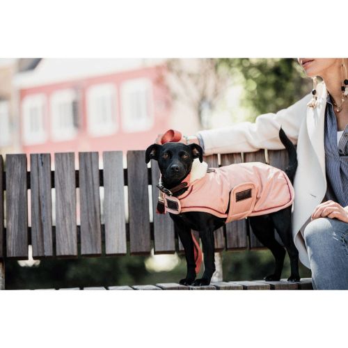 Kentucky - Dog Coat Waterproof 160g - 52244