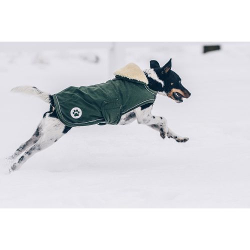 Kentucky - Dog Coat Waterproof 300g - 52144