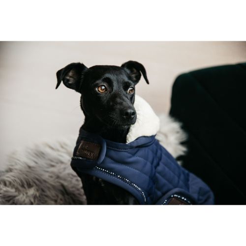 Kentucky - Dog Coat Pearls - 52119