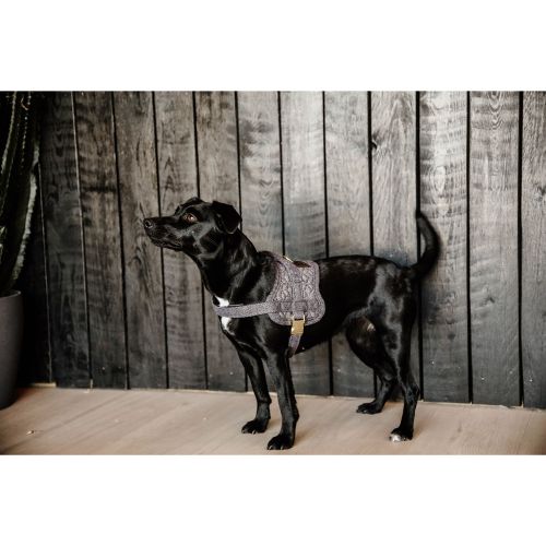 Kentucky - Dog Harness Body Safe Wool - 42638