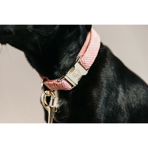 Kentucky - Dog Collar Wool - 42632