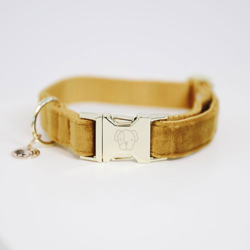 Kentucky - Dog Collar Velvet - 42538