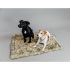 Kentucky - Dog Bed Fuzzy Blanket to Go - 52417