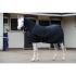 Bucas - Shamrock Power Full Neck Rug - 646