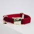 Kentucky - Dog Collar Corduroy - 42533 Kentucky - Dog Collar Corduroy - 42533