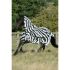 Bucas - Buzz-Off Zebra & Neck Rug - 524