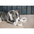 Kentucky - Dog Toy Cotton Rope Baseball - 52408