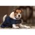 Kentucky - Dog Coat - 52104