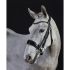 GFS Premier Avail Double leather Bridle - (B215-216)