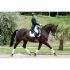 Hirzl Soffft Dressage Riding Gloves