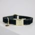 Kentucky - Dog Collar Corduroy - 42533 Kentucky - Dog Collar Corduroy - 42533