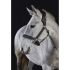 GFS Premier Deluxe leather Head Collar (B280)