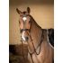 Henry James - Comfort Flash Bridle