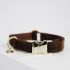 Kentucky - Dog Collar Corduroy - 42533