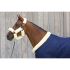 Kentucky Show Rug 160g - 52101