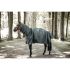 Kentucky Horse Rain Coat - 52116