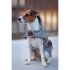 Kentucky - Dog Coat Reflective & Water Repellant - 52125