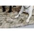 Kentucky - Dog Bed Fuzzy Blanket to Go - 52417