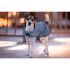 Kentucky - Dog Coat Reflective & Water Repellant - 52125