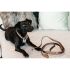 Kentucky - Velvet Leather Dog Lead - 42522