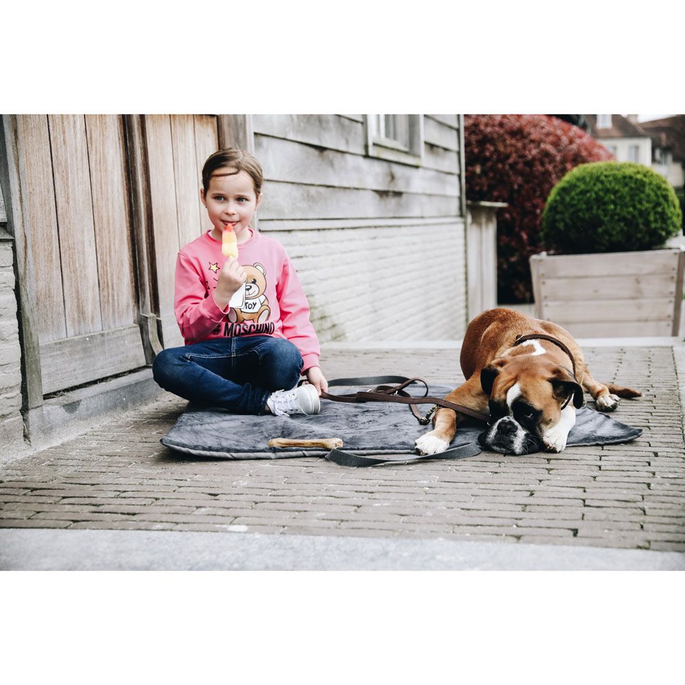 Kentucky - Dog Bed Travel in Style - 52413