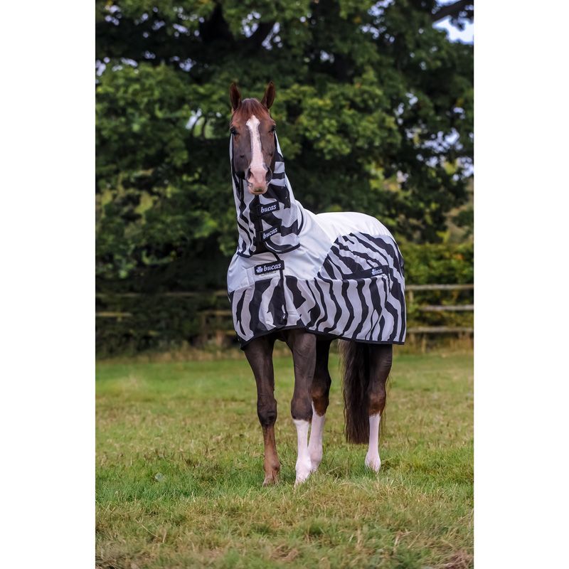 Bucas - Buzz-Off Zebra Rain Full Neck Rug - 587