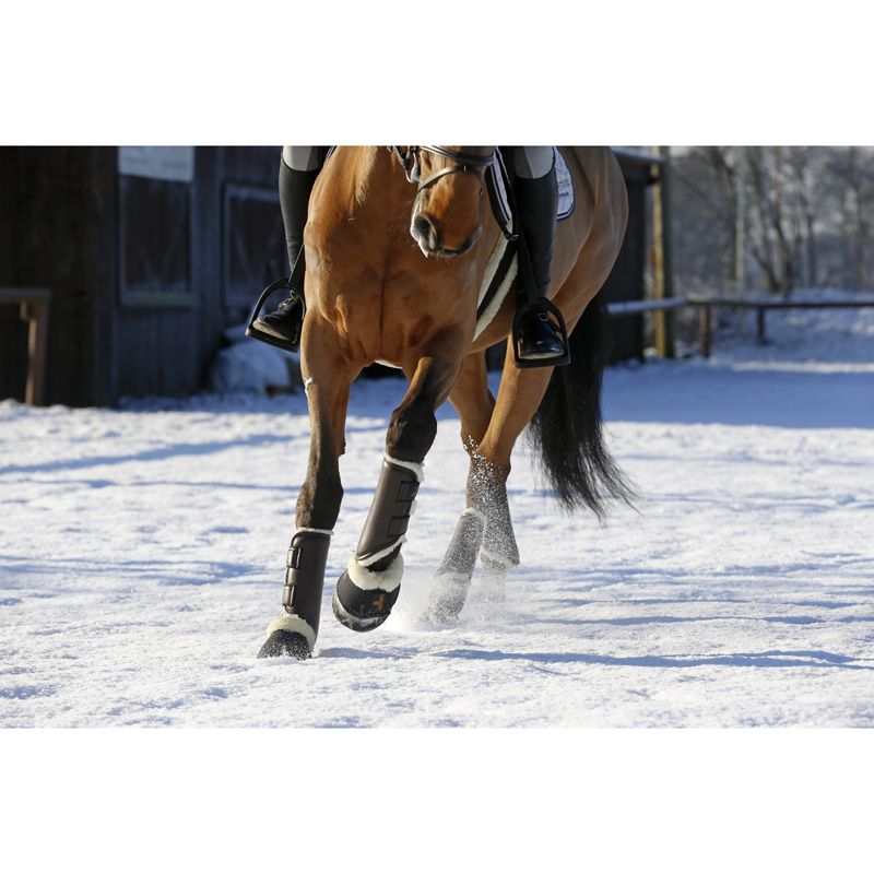 Kentucky - Leather Turnout Boots - Hind - 42304