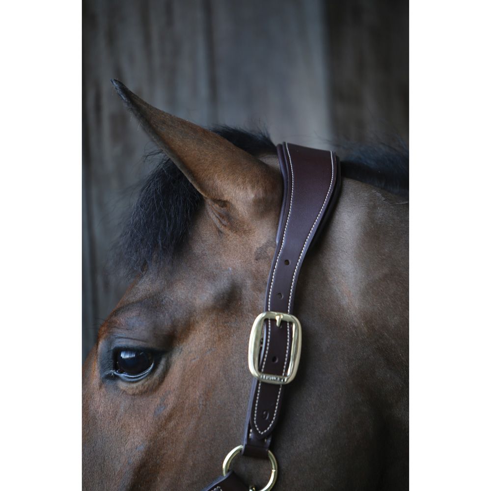 Kentucky - Anatomic Leather Halter - 42513