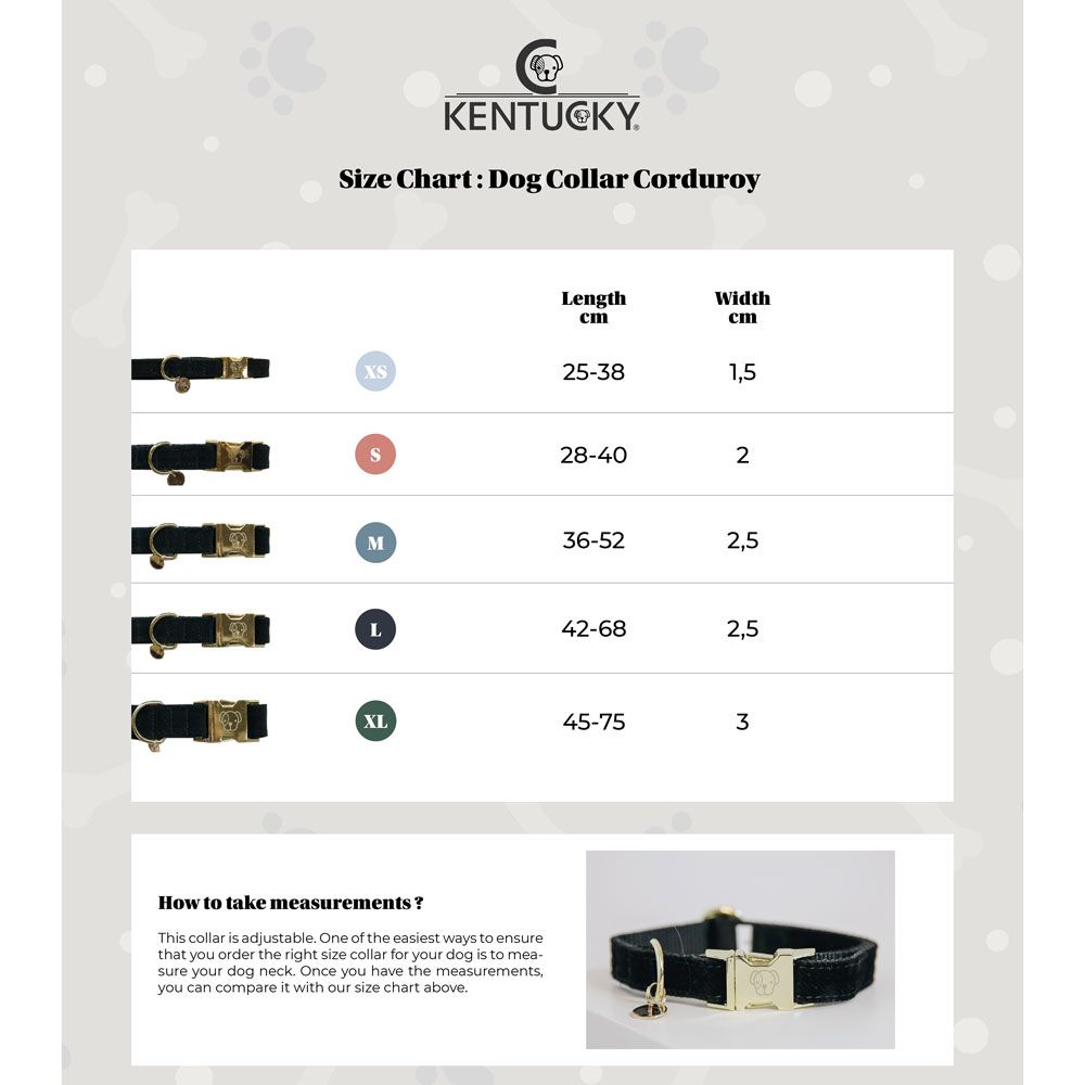 Kentucky - Dog Collar Corduroy - 42533