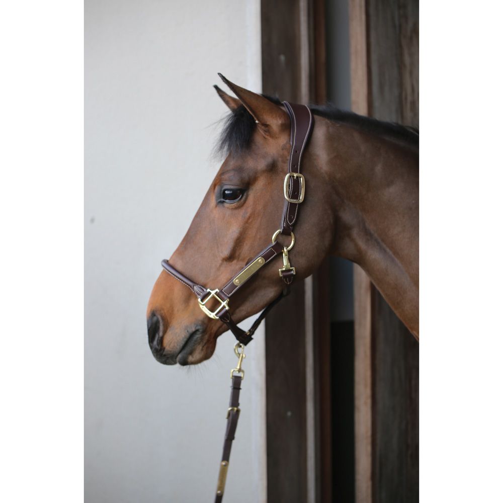 Kentucky - Anatomic Leather Halter - 42513