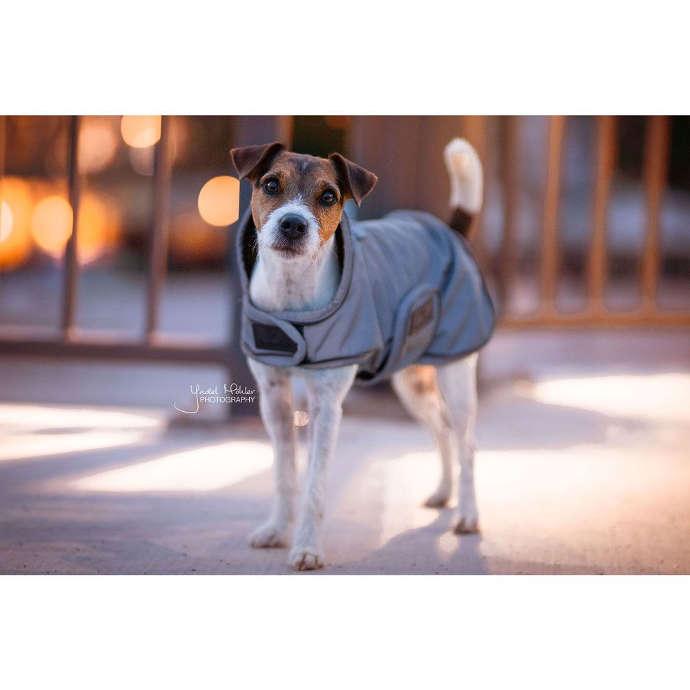 Kentucky - Dog Coat Reflective & Water Repellant - 52125