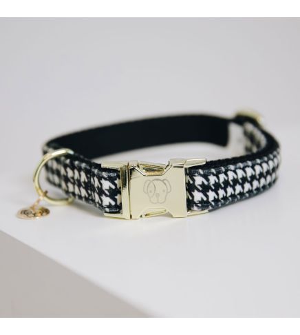 Kentucky - Dog Collar Pied-de-Poule - 42544