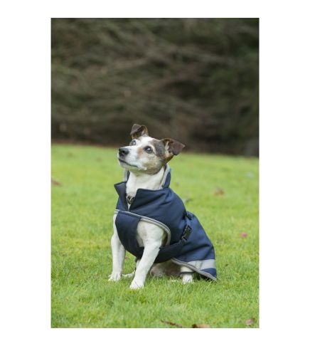 Bucas - Freedom Dog Coat 300g