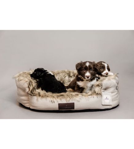 Kentucky - Dog Bed Cave - 52416