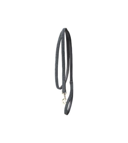 Kentucky - Plaited Nylon Dog Lead - 42519