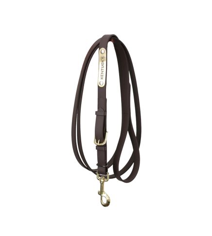 Kentucky - Leather Covered Chain Lead - 42529