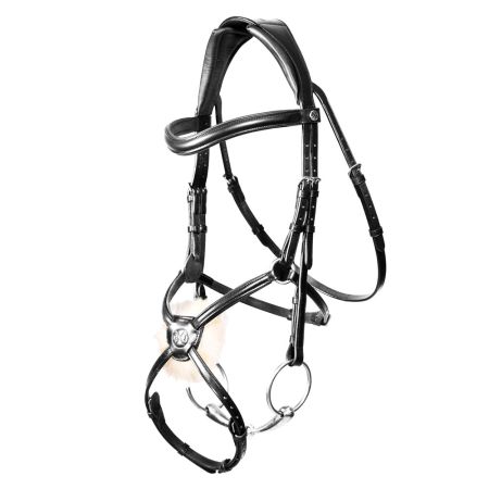 Henry James - Mexican Grackle Bridle