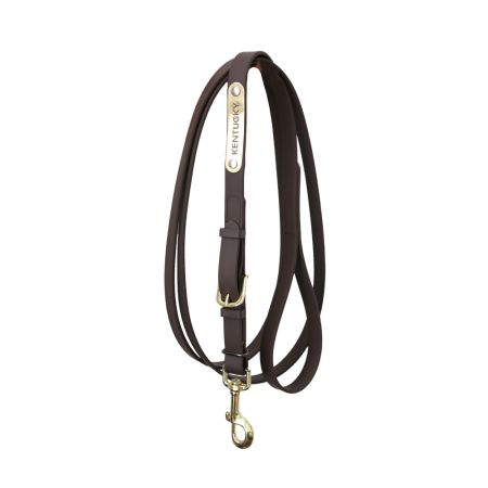 Kentucky - Leather Covered Chain Lead - 42529